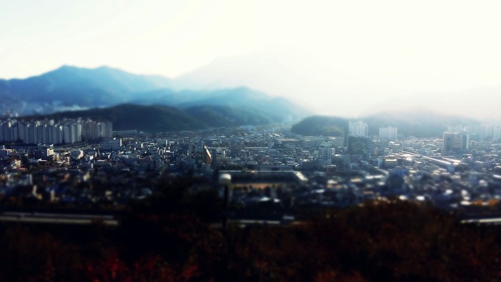 동네 풍경
