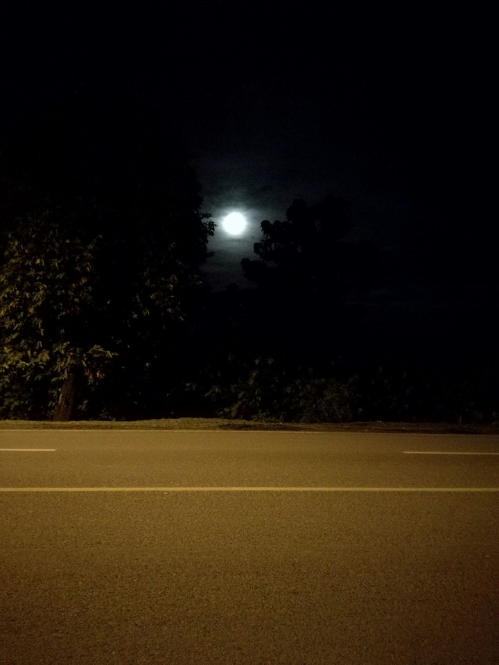 A light in the dark.