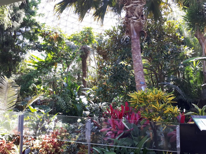 Greenhouse oasis