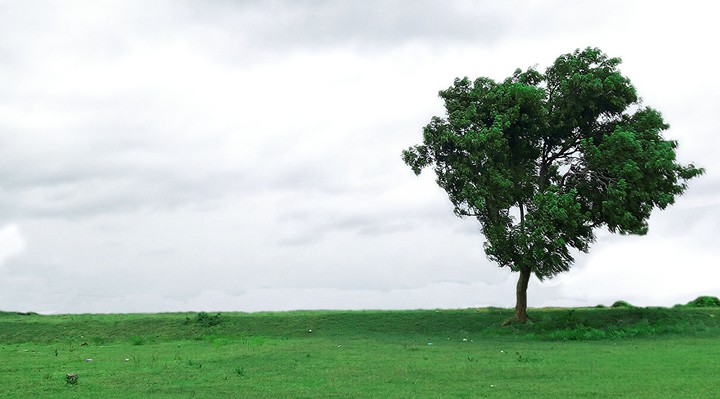 Wind-Lanscape-Green