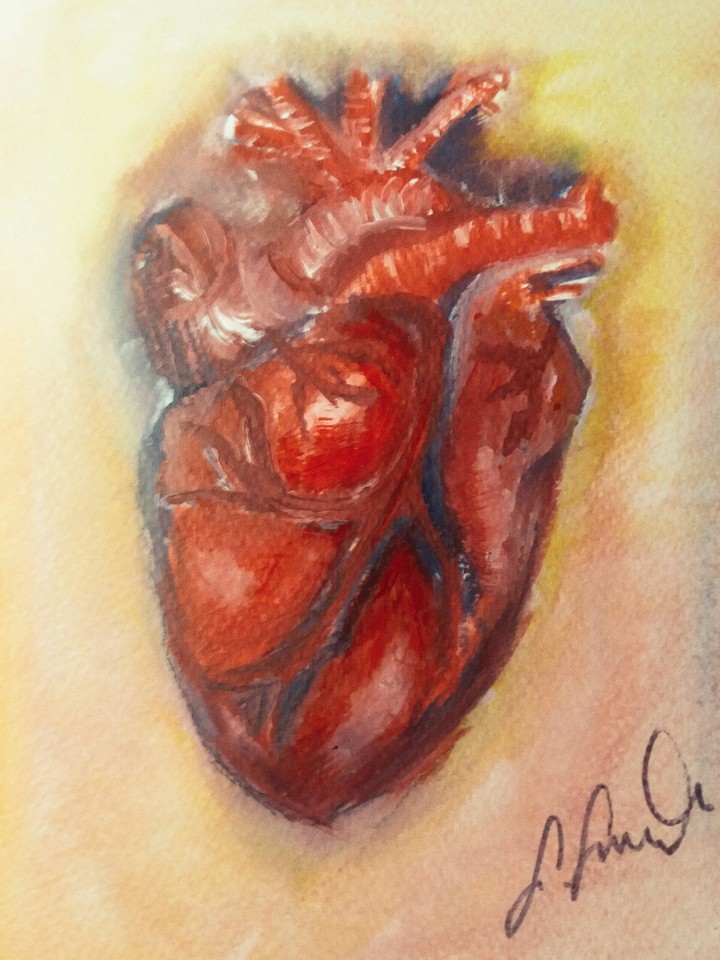 medical illustration