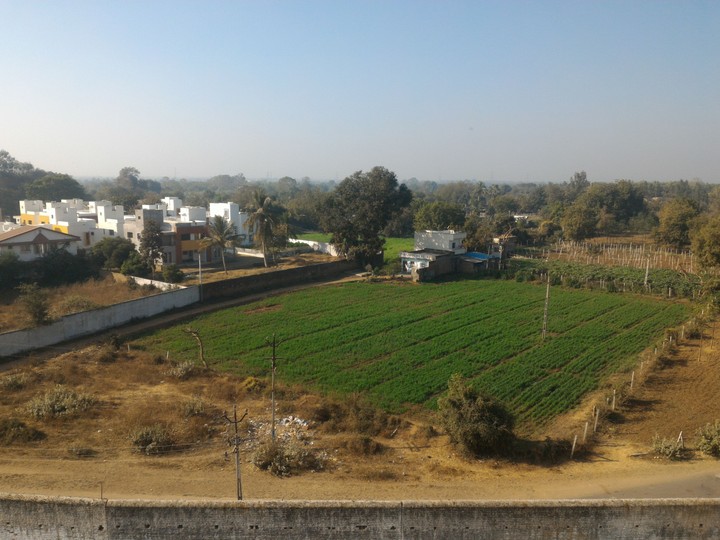 farm in india