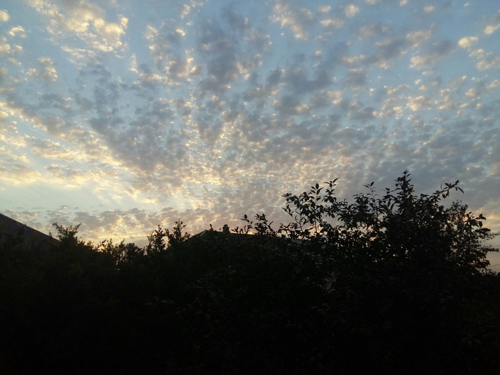 Cloud