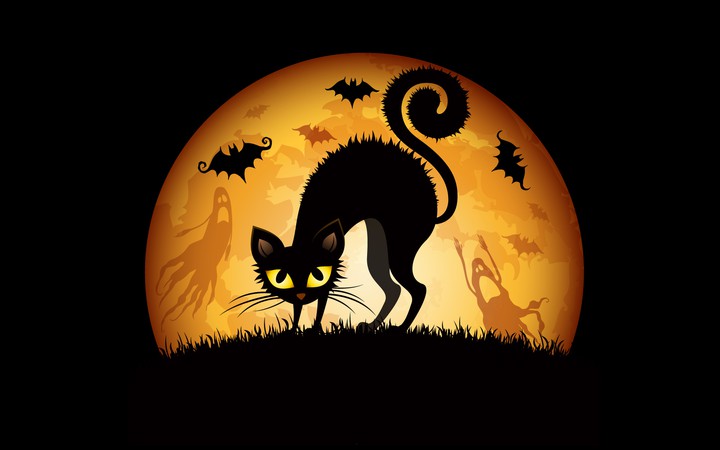halloween cat & bats