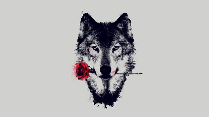 ROMANTIC WOLF