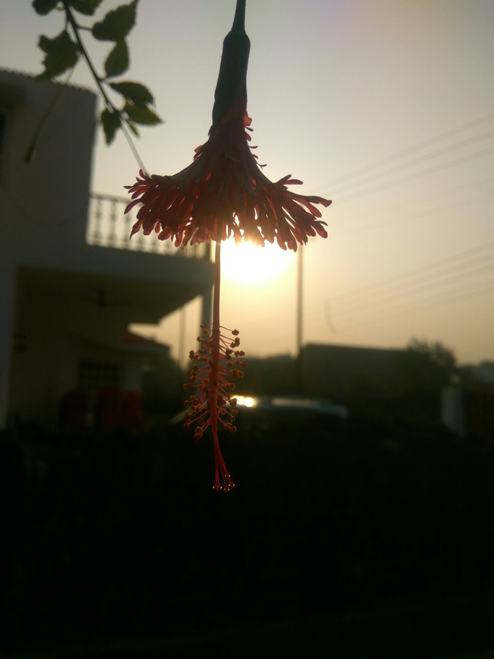 its morning