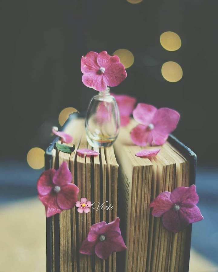 Book