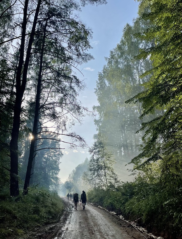 forest look