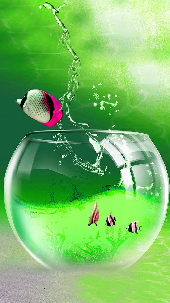 fish bomb