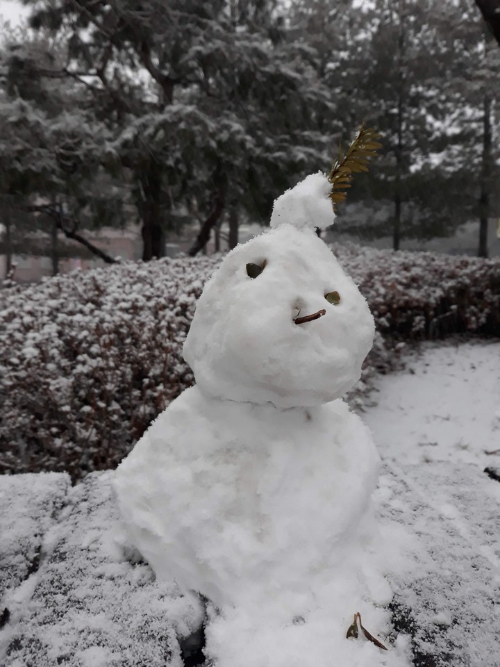 Happy snowman