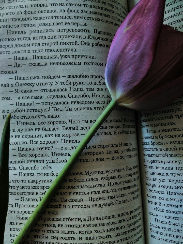 text