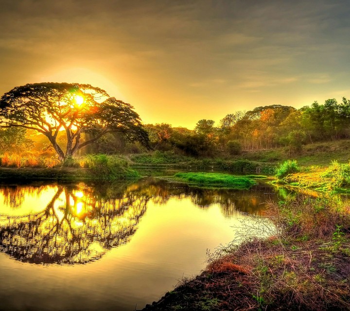 Reflection in water