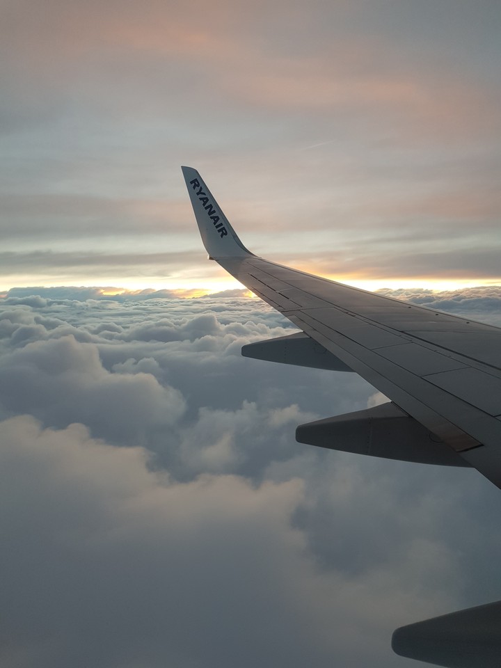 under sky beauty