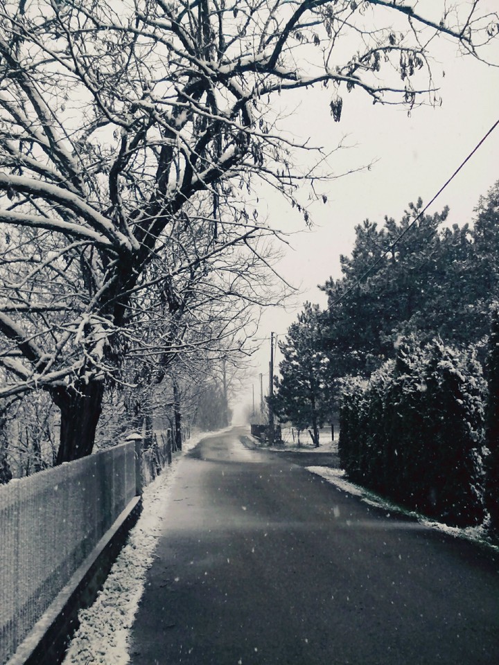 Snow snow ❄⛄