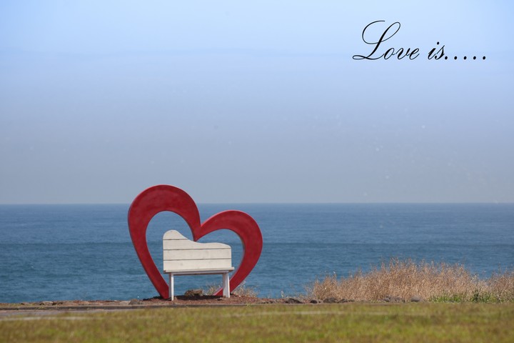 love is. . .