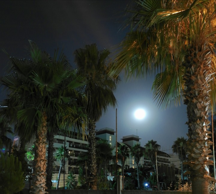 night in Turkey