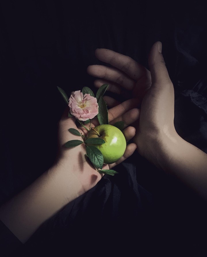 °~•♤♡♤•~°
