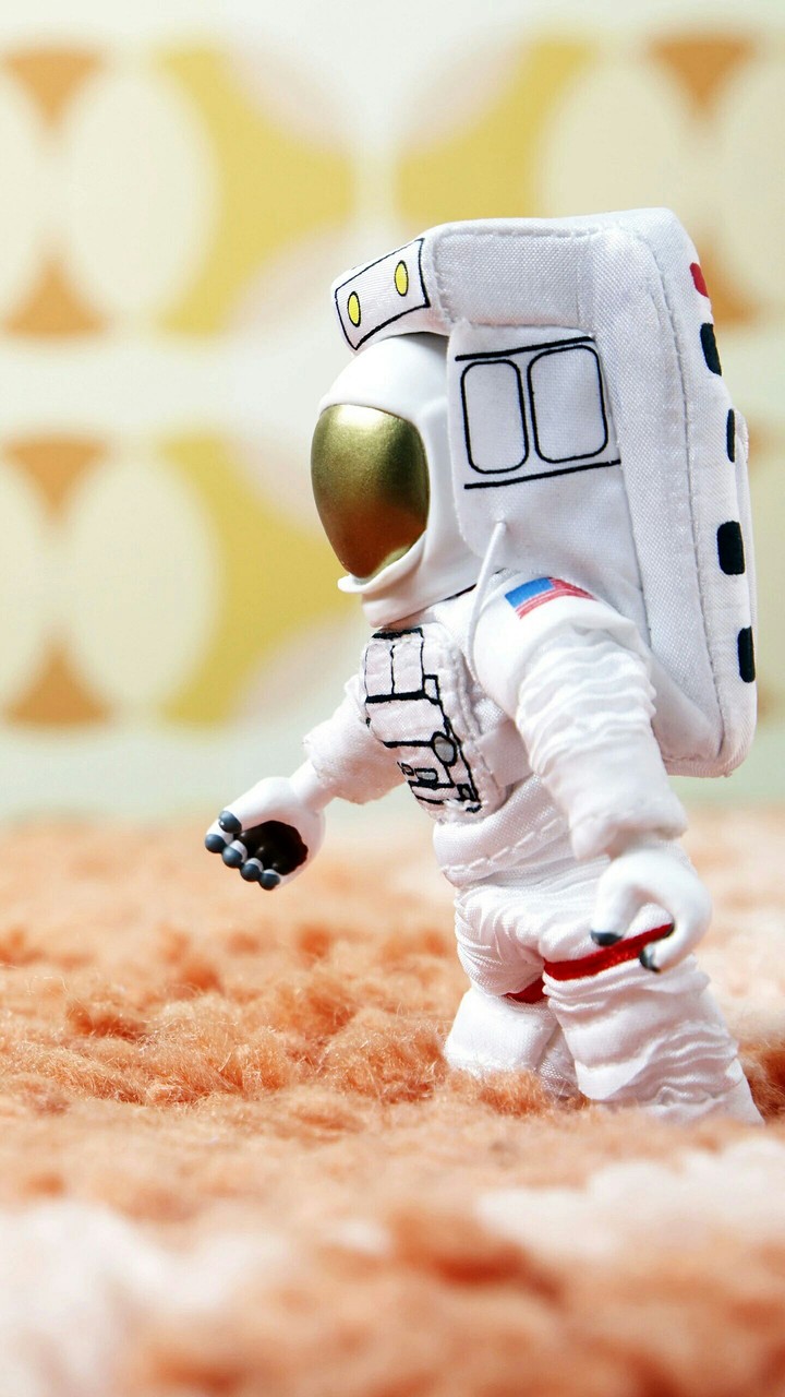 The Astronaut