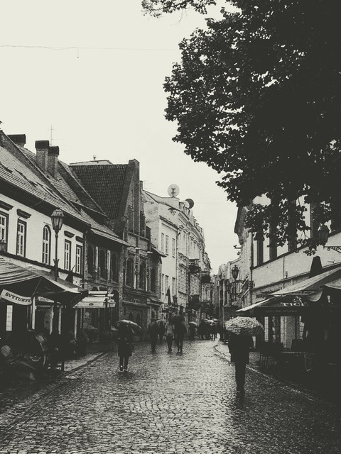Vilnius
