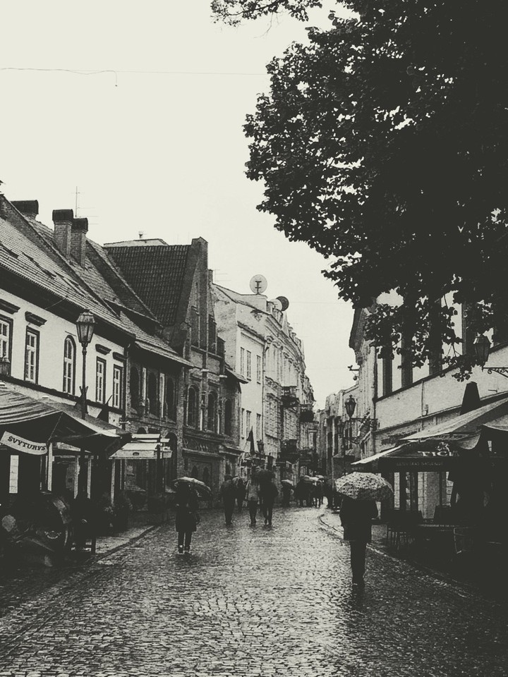 Vilnius