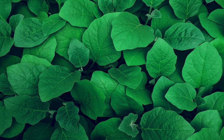 green
