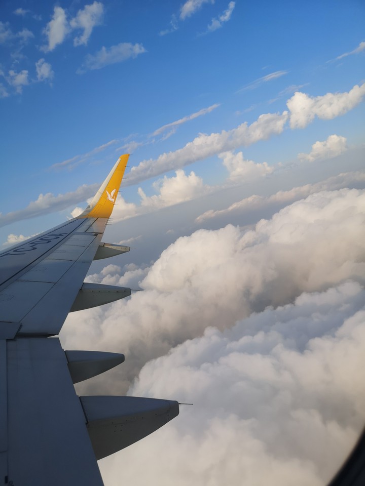 fly
