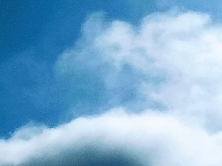 Rising Fog