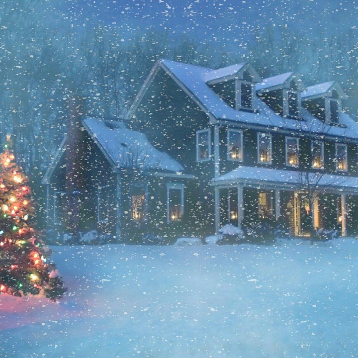 winter.....Christmas... perfect blend