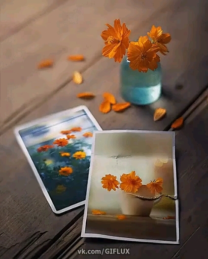 picture