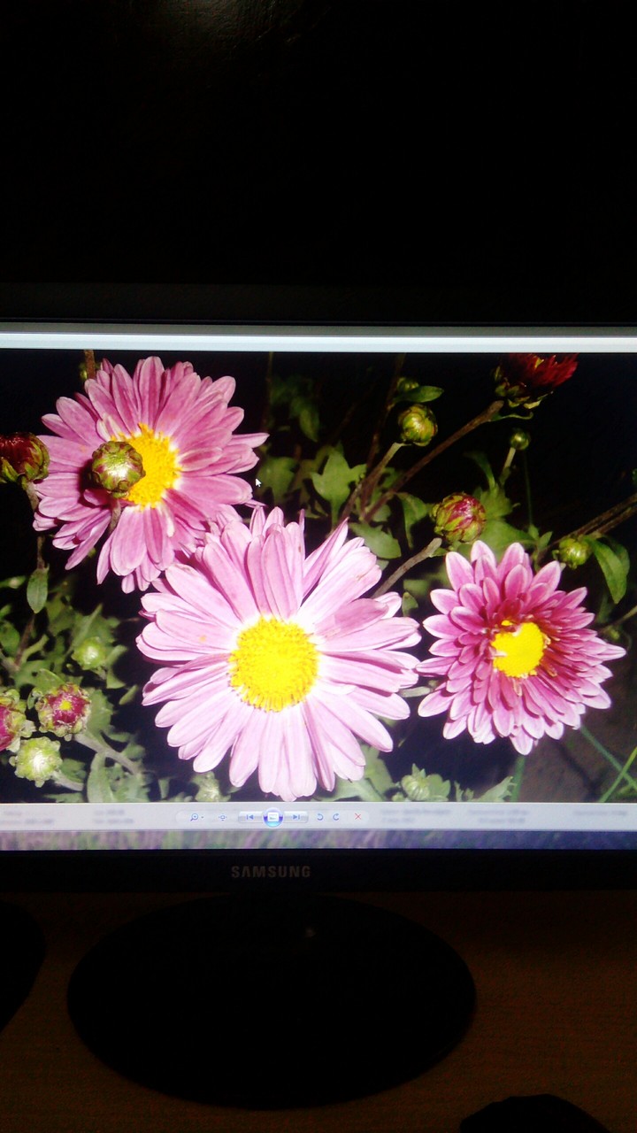 Low size screen shots
