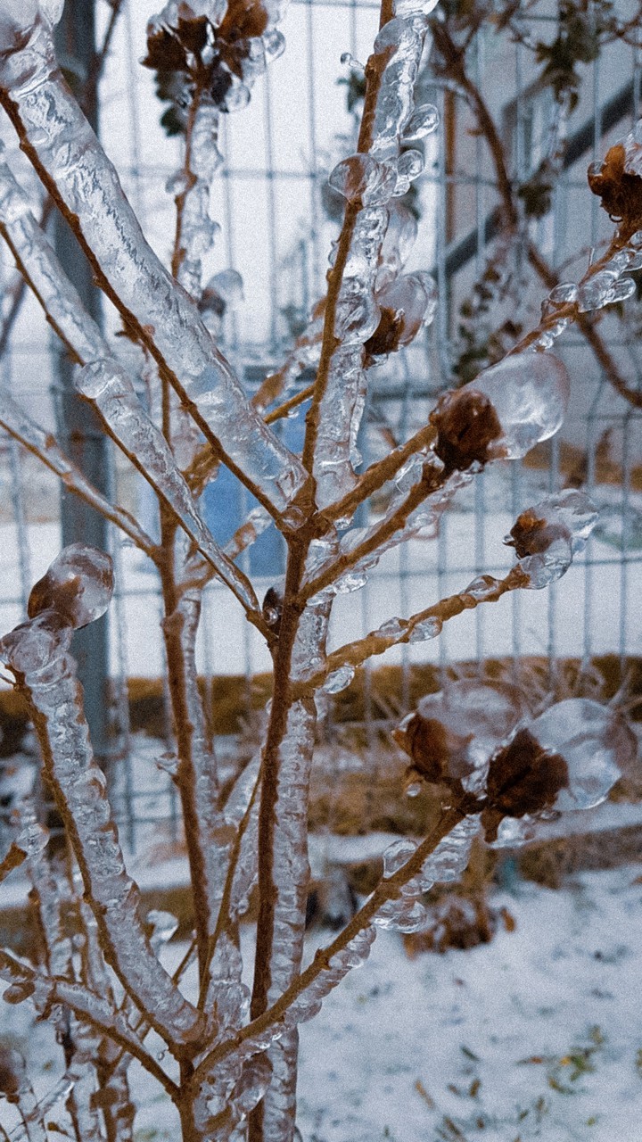 winter