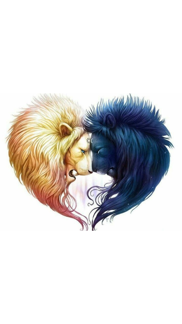lion