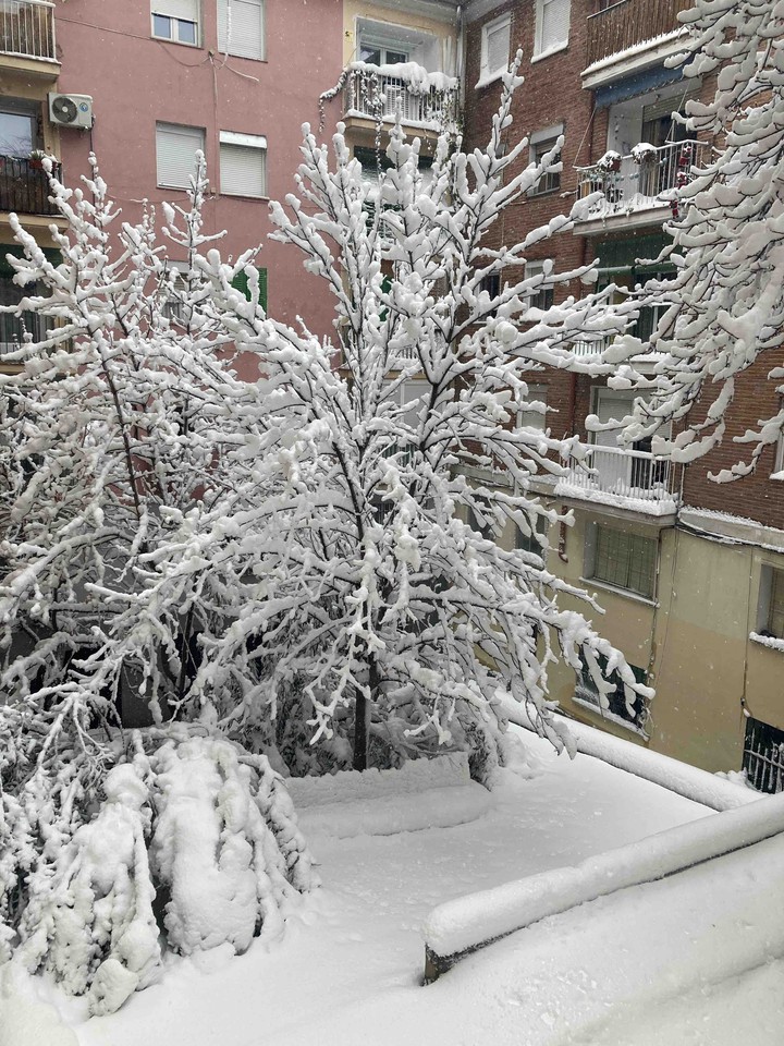 Nieve - Madrid