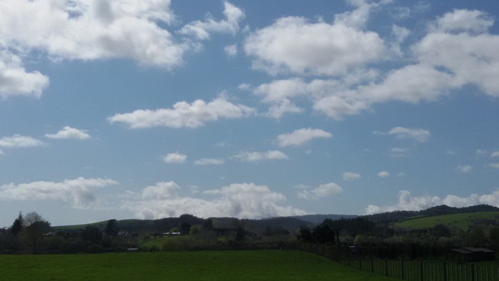 Auckland View