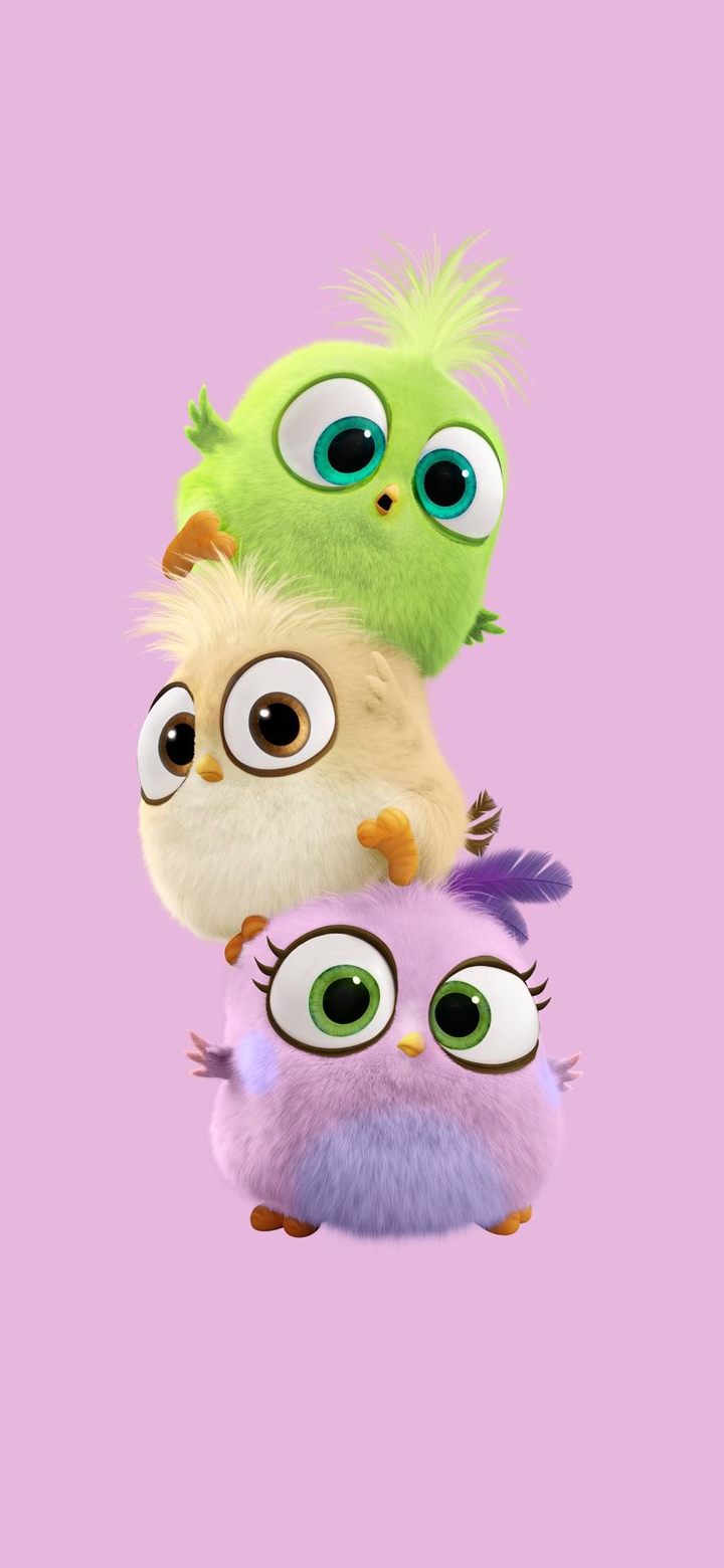 cutee.