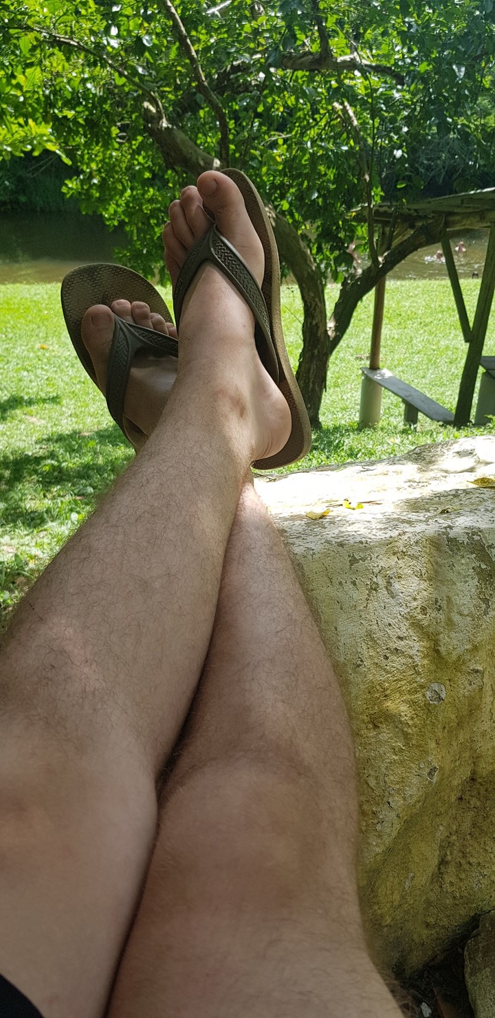 Encano