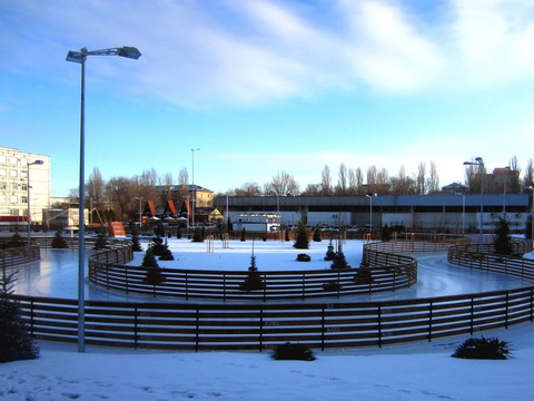 Rink Tau