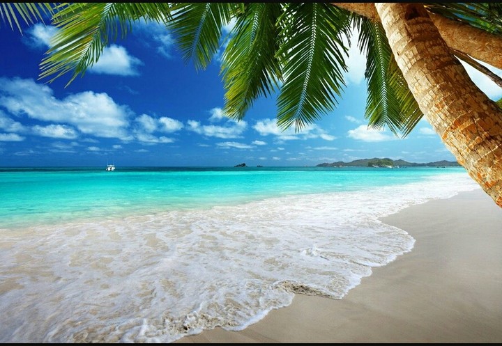 the ocean