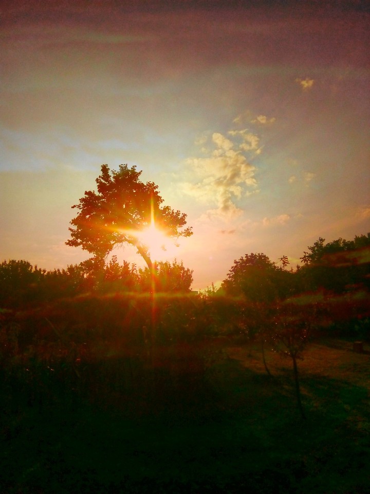 sunrise