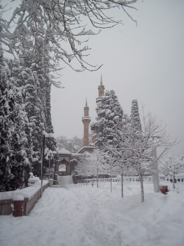 Emir Sultan Camii
