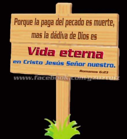 Vida eterna.