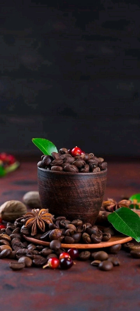 spice, food Hintergrundbilder