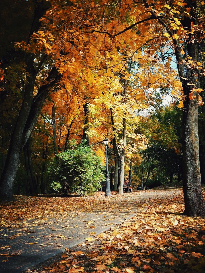 autumn