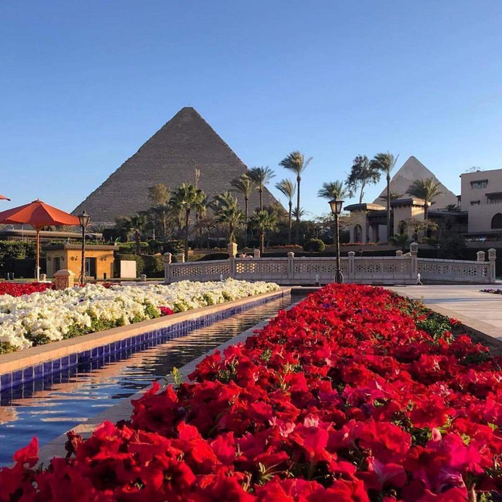 Egypt ❤️