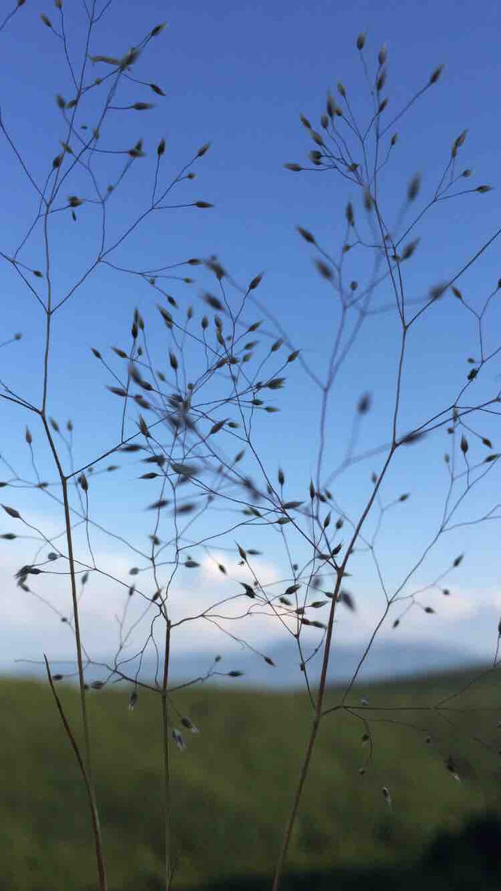 nature
