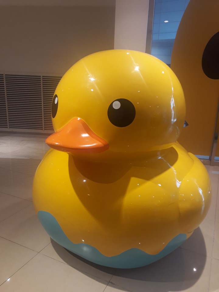 Duck