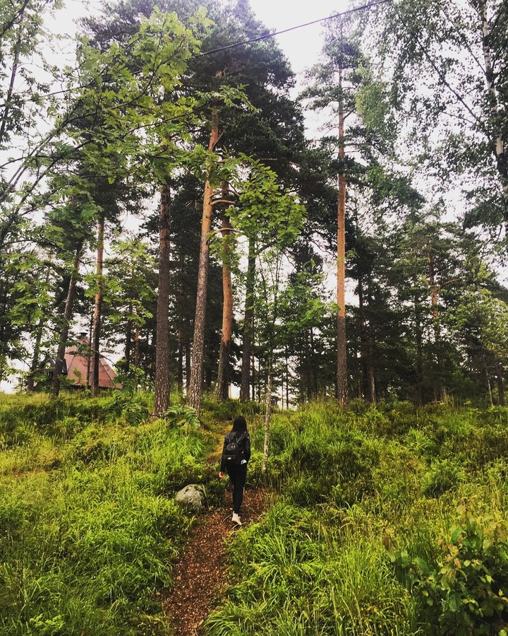 Green Forest