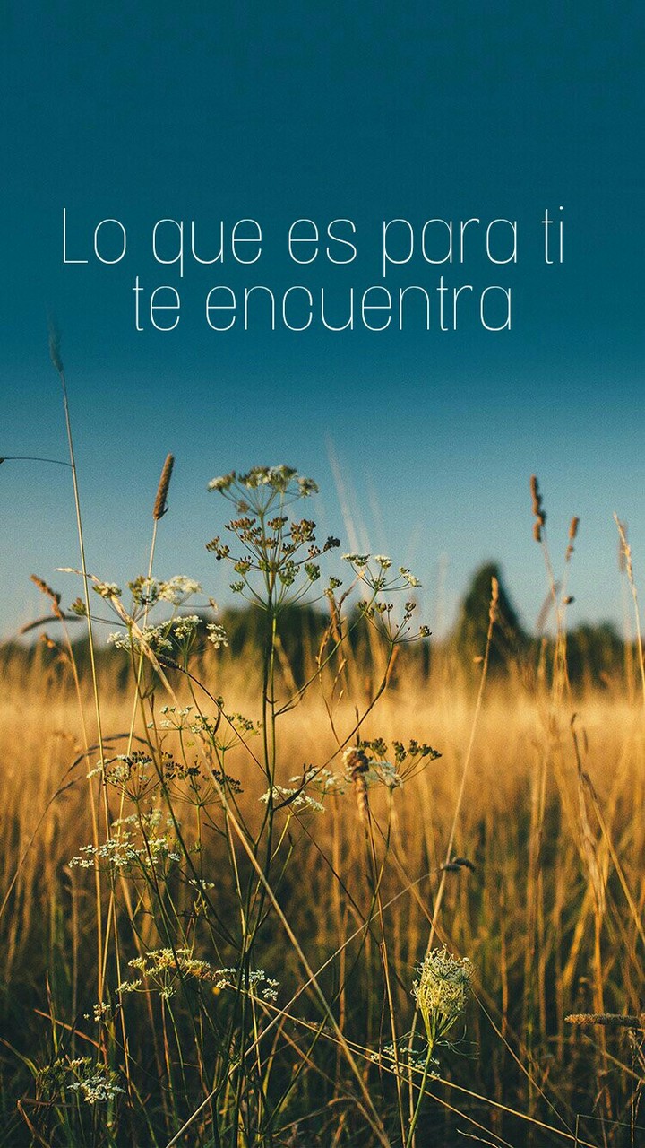 encuentro