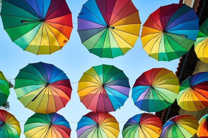 colores en pleno sol