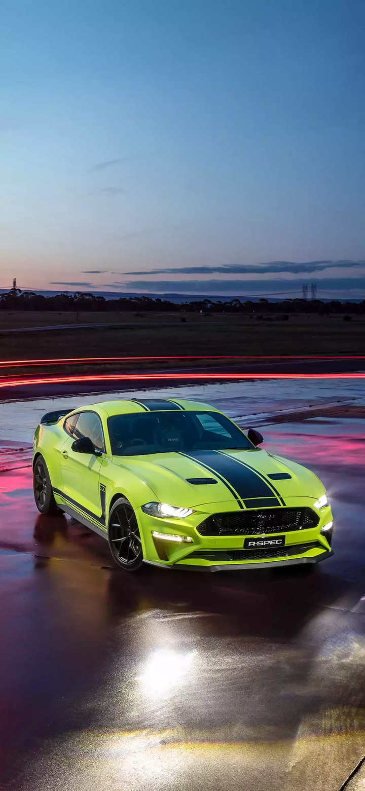mustang